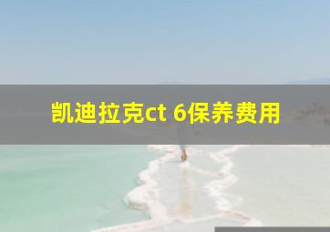 凯迪拉克ct 6保养费用